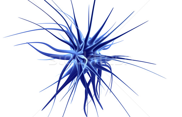 Neuronal cell cluster Stock photo © Spectral