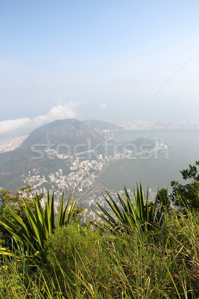 Görmek Rio de Janeiro panoramik Brezilya güney amerika plaj Stok fotoğraf © Spectral