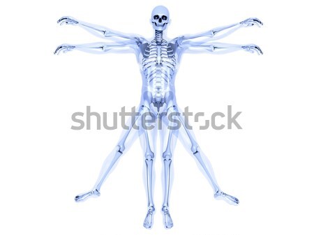 Stock photo: Knee Ache - Anatomy 