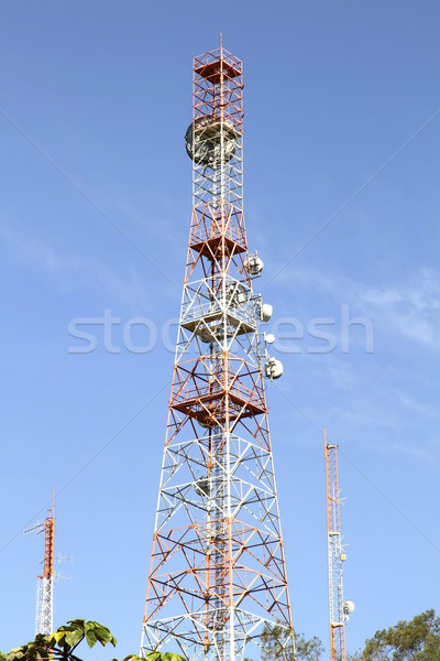Antenna in the Jungle Stock photo © Spectral