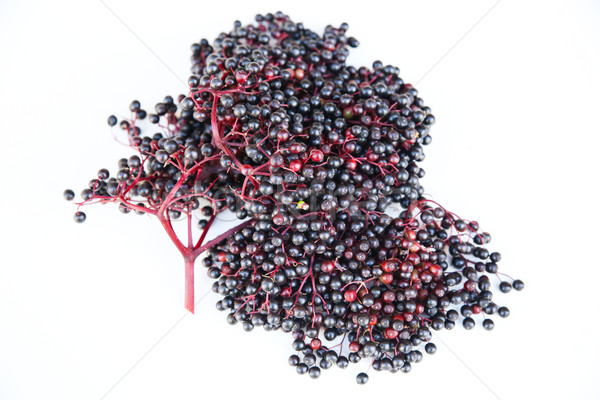Elder Berries	 Stock photo © Spectral
