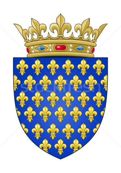 French heraldic coat of arms Stock photo © speedfighter