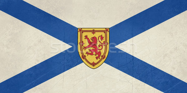 Grunge Nova Scotia state flag Stock photo © speedfighter