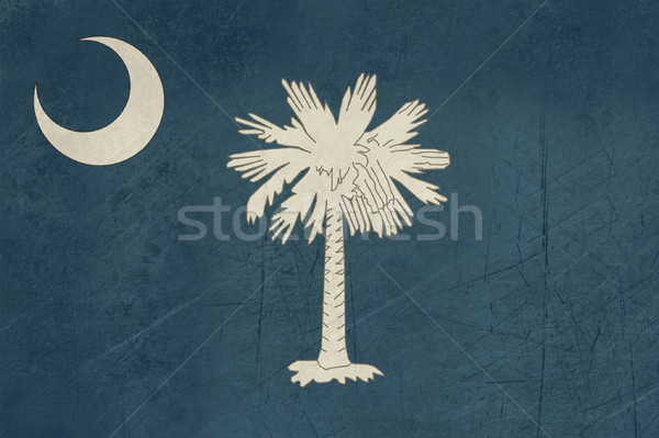 Grunge South Carolina Flagge america isoliert weiß Stock foto © speedfighter