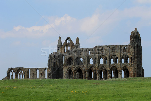 Abbazia panoramica view settentrionale yorkshire Inghilterra Foto d'archivio © speedfighter