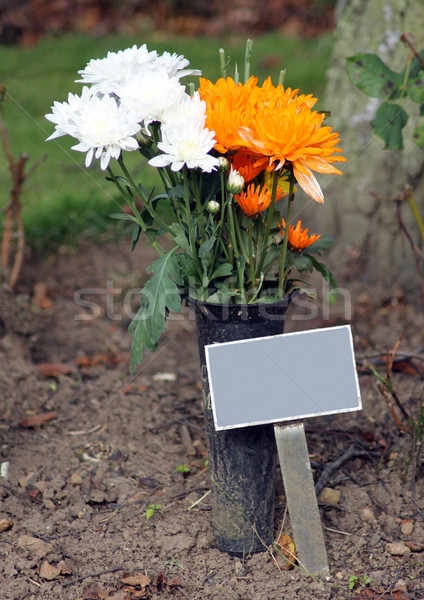 Memorial plaque and flowers in cemetery Stock photo © speedfighter