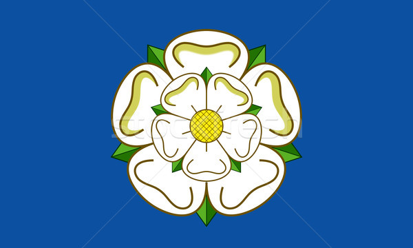 Yorkshire bandera oficial país Inglaterra blanco Foto stock © speedfighter