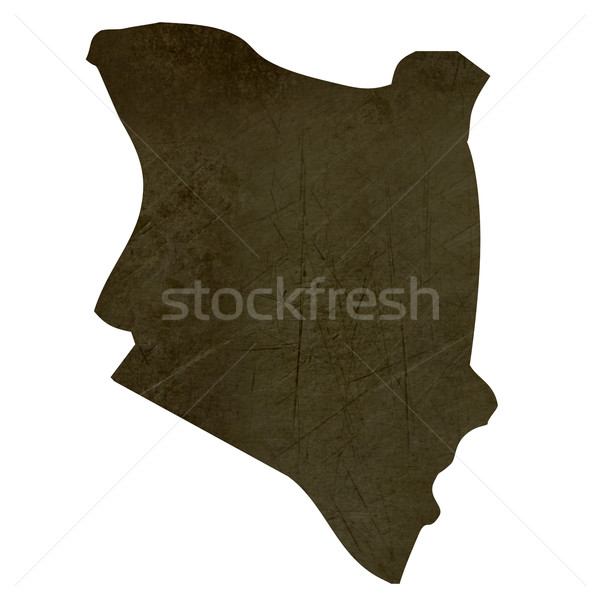 Dark silhouetted map of Kenya Stock photo © speedfighter