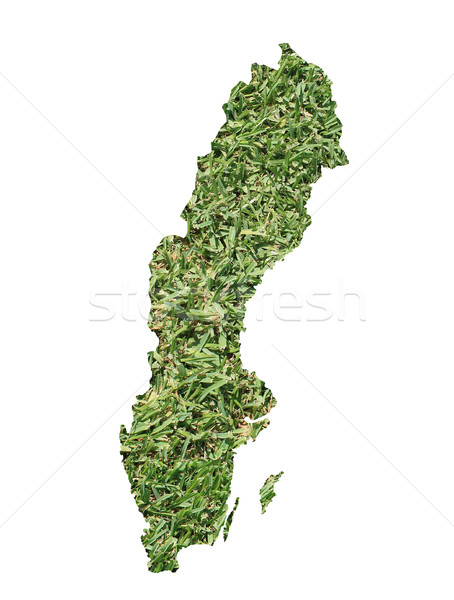瑞典 環境的 地圖 綠草 生態 性質 商業照片 © speedfighter