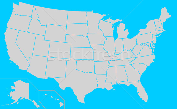 USA Election states map Stock photo © speedfighter
