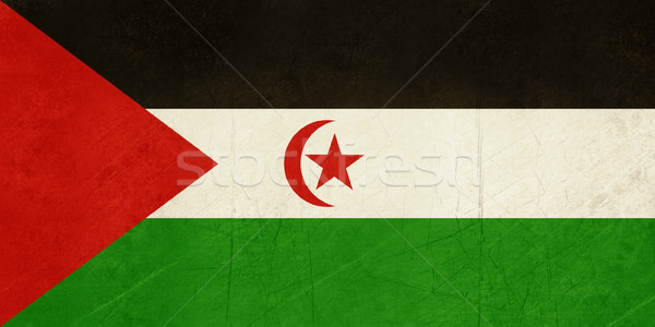 Grunge occidentale sahara bandiera paese ufficiale Foto d'archivio © speedfighter