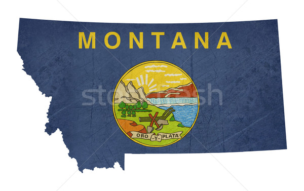 Гранж Монтана флаг карта изолированный белый Сток-фото © speedfighter