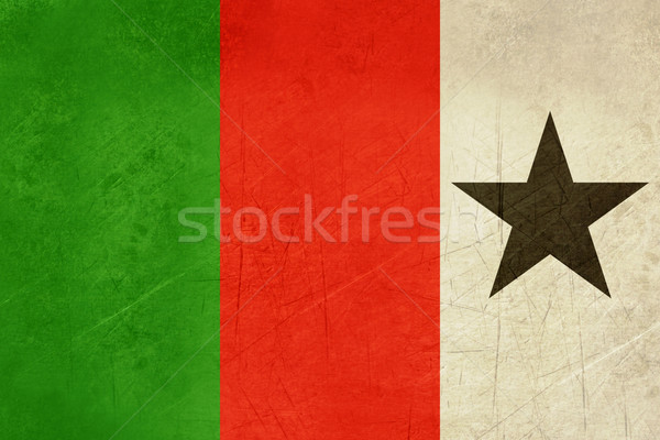 Grunge Welsh Republican Tricolour flag Stock photo © speedfighter
