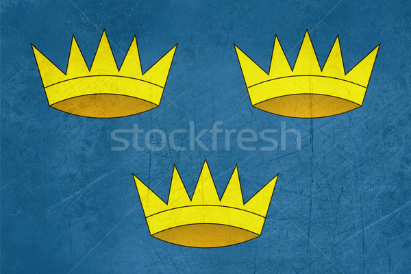 Province of Munster flag Stock photo © speedfighter