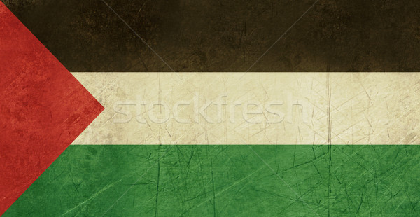 Grunge Palestine Flag Stock photo © speedfighter