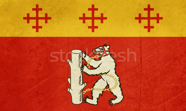 Warwickshire County flag in England Stock photo © speedfighter