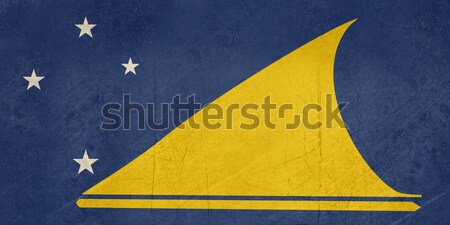 Grunge Flagge Land offiziellen Farben Landschaft Stock foto © speedfighter