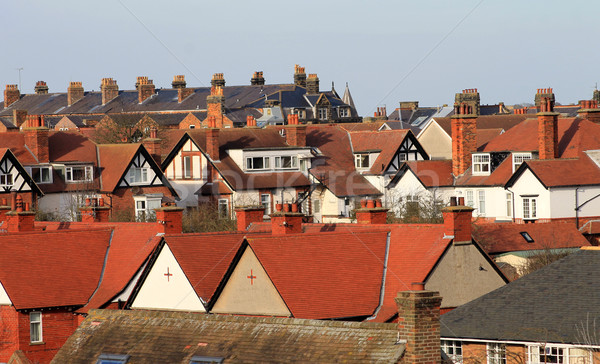 Red tiled houses in city Stock photo © speedfighter