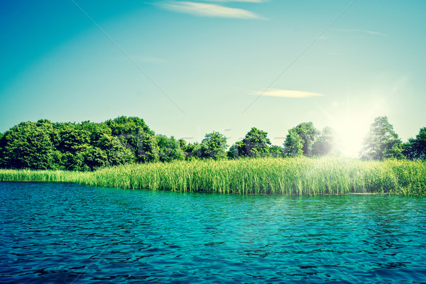 Idyllique lac bleu eau vert arbres [[stock_photo]] © Sportactive