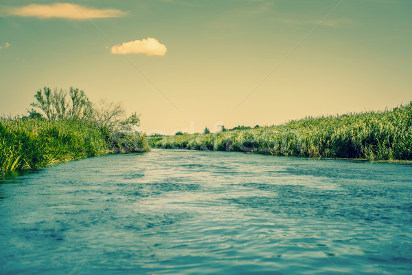 Sterke rivier stream groene voorjaar zomer Stockfoto © Sportactive