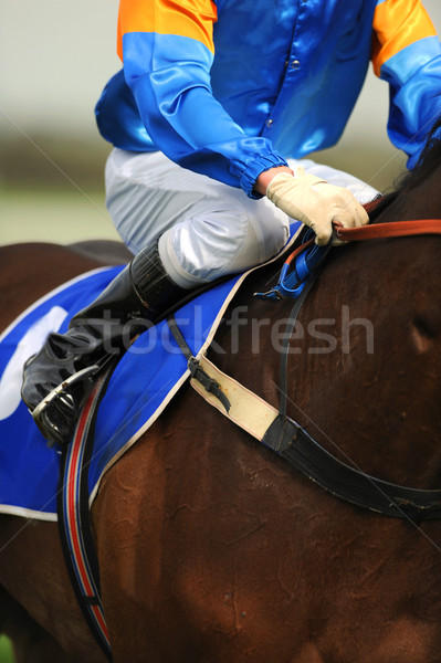 Foto stock: Jockey · azul · equitación · caballo · deporte · actividad