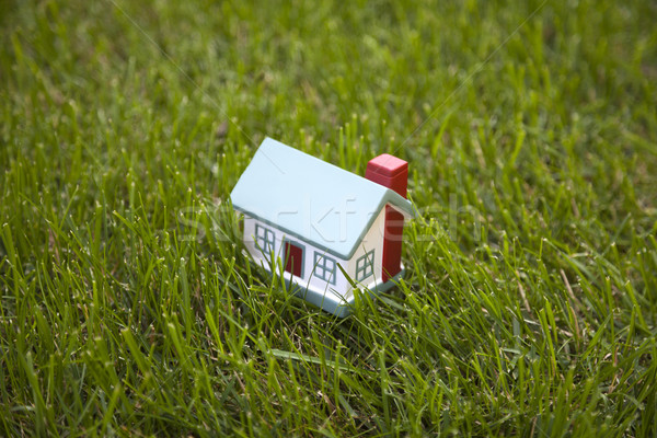 Piccolo casa erba verde costruzione home campo Foto d'archivio © sqback