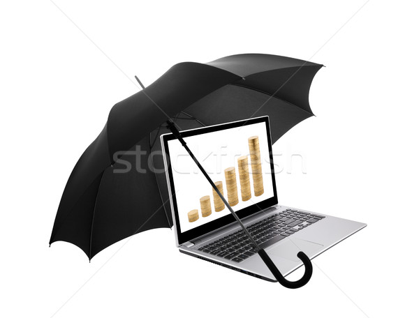 Laptop arany érmék védett esernyő számítógép Stock fotó © sqback
