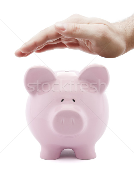 Protect your money Stock photo © sqback