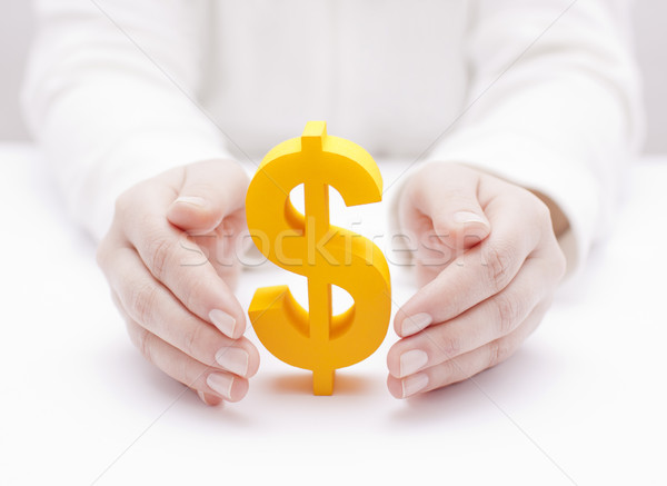 Golden Dollar Symbol geschützt Hände Business Stock foto © sqback