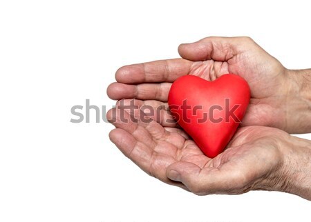 Old man's hands with red heart isolated on white background  Stock photo © sqback