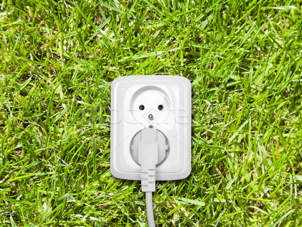Elektromos zöld fű természet zöld kábel erő Stock fotó © sqback