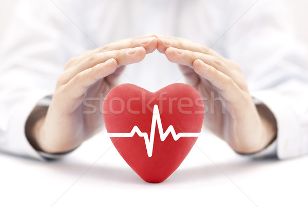 Heart pulse covered by hands. Health insurance concept  Stock photo © sqback