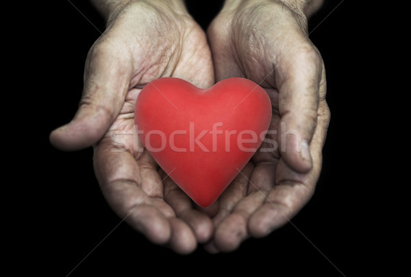 Red heart in senior hands over black background  Stock photo © sqback