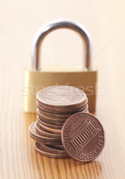 Protect your money Stock photo © sqback