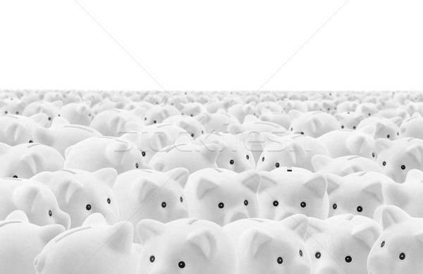 Large group of white piggy banks Stock photo © sqback