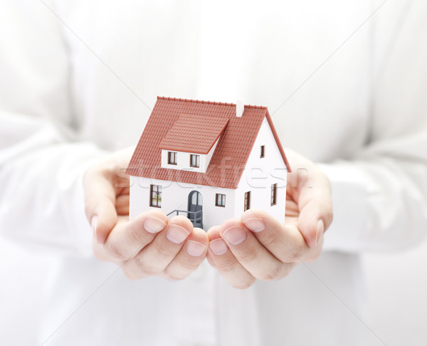 Ház üzlet építkezés otthon építészet póló Stock fotó © sqback