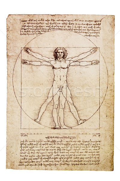Da Vinci's Vitruvian Man Stock photo © sqback