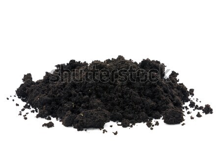 Boden isoliert weiß Natur schwarz Stock foto © sqback
