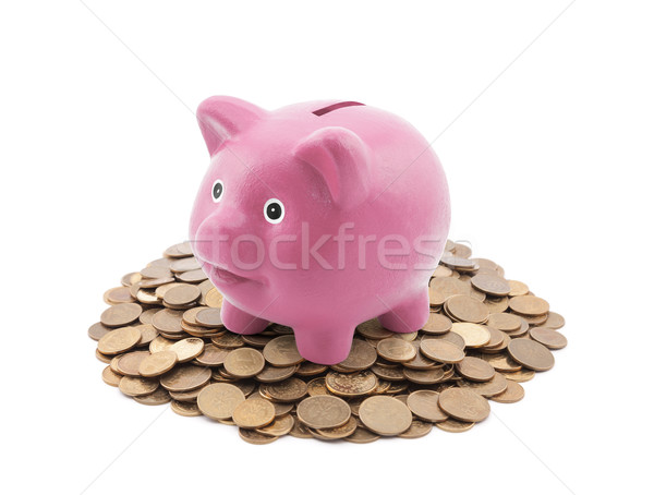 Rosa Sparschwein Münzen Business Spielzeug Stock foto © sqback