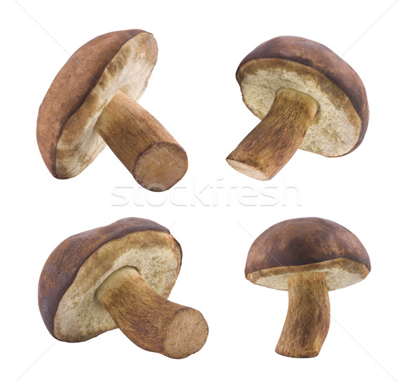 Stock photo: Mushrooms with clipping path