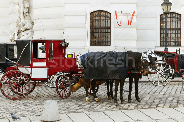 Zdjęcia stock: Parking · Wiedeń · Austria · domu · konia · retro