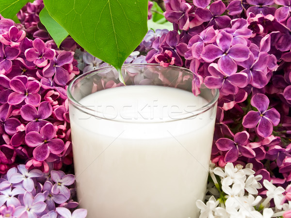 Fleur feuille verre lait usine Photo stock © SRNR