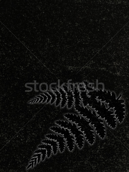 Dekore edilmiş granit mezar taşı eğreltiotu dekorasyon siyah Stok fotoğraf © SRNR