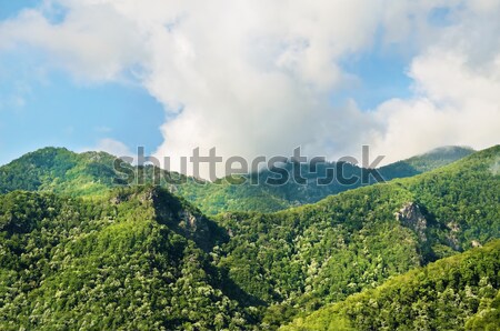 Carpathian Mountains Stock photo © SRNR