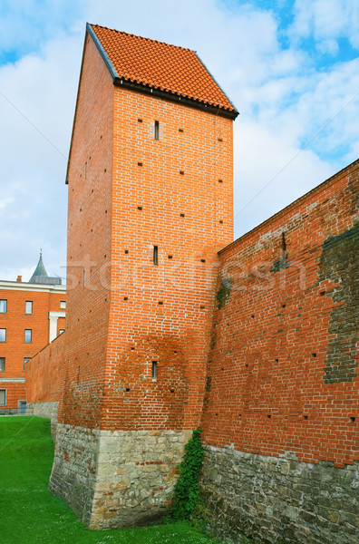 Duvar eski Bina mimari bağbozumu Avrupa Stok fotoğraf © SRNR