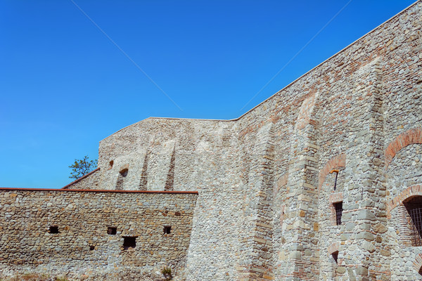 The Defensive Wall Stock photo © SRNR