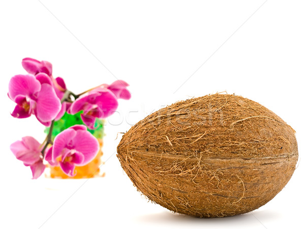 coconut and pink orchid Stock photo © SRNR