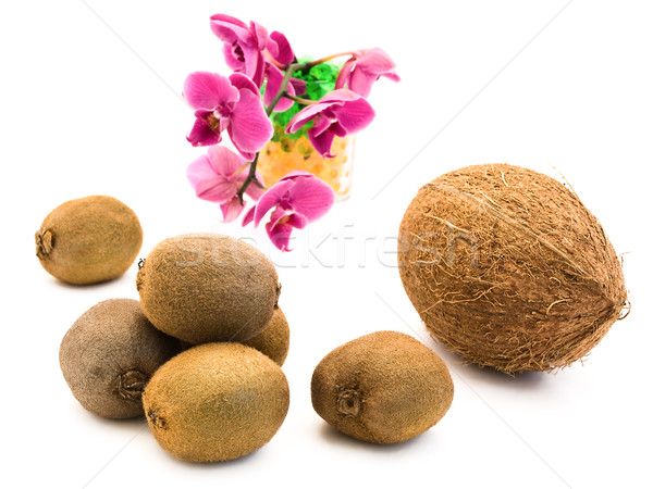 coconut and kiwi against pink orchid flower Stock photo © SRNR
