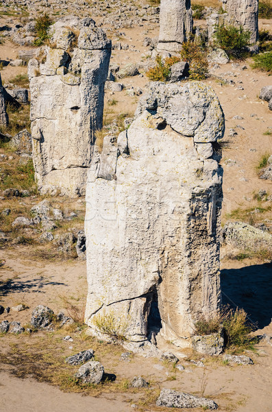 Steen bos fabelachtig rock fenomeen natuur Stockfoto © SRNR