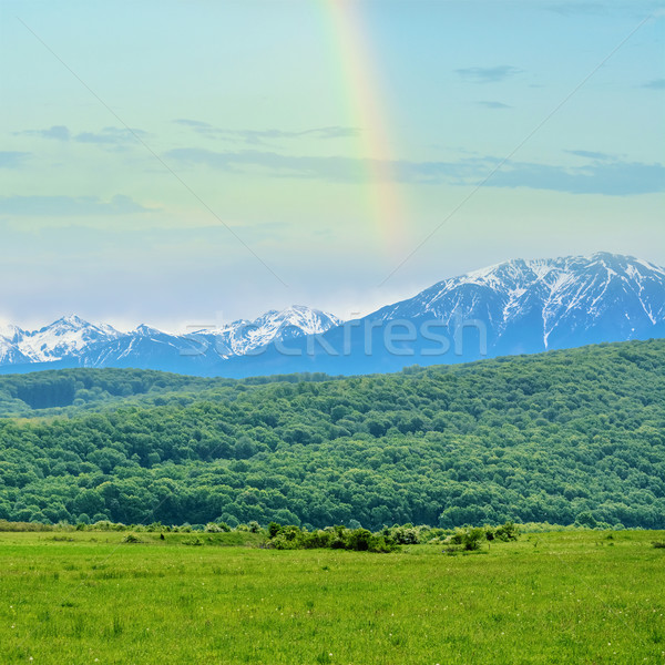 Snow-capped Mountains Stock photo © SRNR
